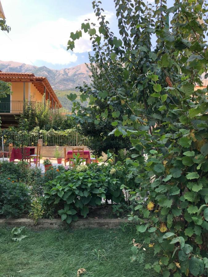 Hotel Villa Ago Përmet المظهر الخارجي الصورة